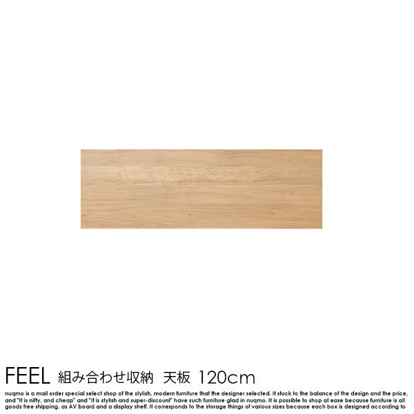 組み合わせ収納シリーズFEEL【フィール】天板 幅120cmの商品写真